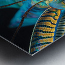 Insect Metamorphosis Metal print