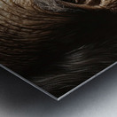 Aged Wisdom Portrait H2N9P2 65 Metal print