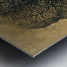 Arboreal Mind Within 29H4B 60 Metal print