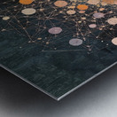 Arboreal Network HZ92P3 55 Metal print