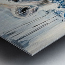 Arctic Sentinel 238HBC 45 Metal print