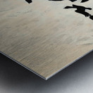 Ascent of Ravens 7P3H9N 45 Metal print