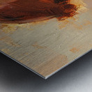 Auburn Gaze Y23H9N 58 Metal print