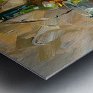 Autumn Harvest Still Life H2N3P9 55 Metal print