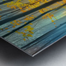 Autumn Light Forest ZX987N 60 Metal print