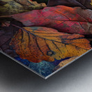 Autumn Leaves Symphony 2P3H9N 55 Metal print