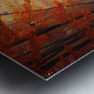 Autumn Mist Pathway H2N9P4 55 Metal print