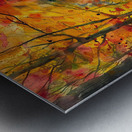 Autumn Path 79B2D3 55 Metal print