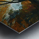 Autumn Reflections 2P9H7N 57 Metal print