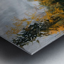 Autumn Ripples 2P9H7N 64 Metal print