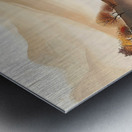 Autumn Whispers H3N9C2 55 Metal print