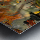 Autumn Whispers J79B2H 45 Metal print