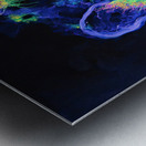 Bioluminescent Bloom 78HNP2 62   Copy Metal print