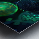 Bioluminescent Forms 7P3H9N 55   Copy Metal print