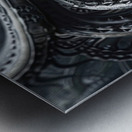 Biomechanical Elegance 7H29P4 45 Metal print