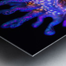 Bioluminescent Seahorse 92D3H7 69 Metal print