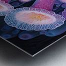 Blooming Coral City 78HNP3 65 Metal print