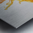 Chromatic Dance of Fluids Y92H7N 45 Metal print