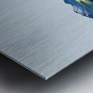 Chromatic Horizons H3P2N9 55 Metal print