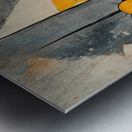 Celestial Balance 29HNPZ 60 Metal print