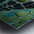 Cellular Genesis H9P2N8 60 Metal print