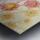 Cellular Echoes Y59H2N 55 Metal print