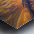 Celestial Undulations ZX92N5 67 Metal print