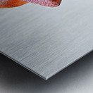 Celestial Visage H3N9P2 60 Metal print