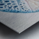 Cellular Echoes H9P4N2 50 Metal print