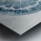 Cellular Harmony 9P3N2H 47 Metal print