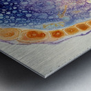 Cellular Harmony H9P4N2 48 Metal print