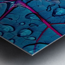 Chromatic Leaf Study H2N9J2 65 Metal print