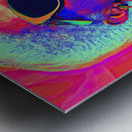 Chromatic Radiance 2P3H9N 60 Metal print