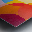 Chromatic Rhapsody 42H9N 58 Metal print