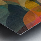 Chromatic Rhapsody 7P3H2N 56 Metal print