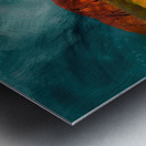 Crimson Heart of Oz 2P9H7N 60 Metal print