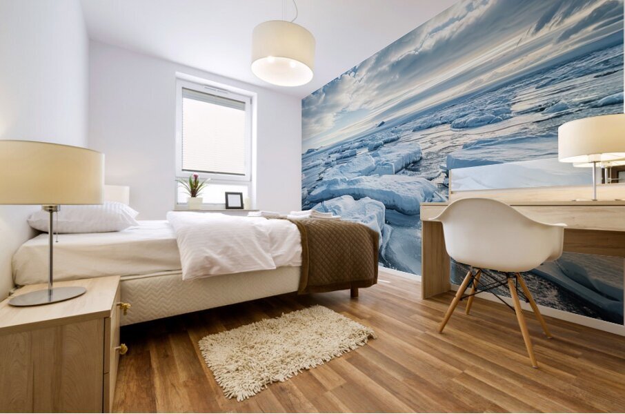 Arctic Symphony K829PN 58 Mural print