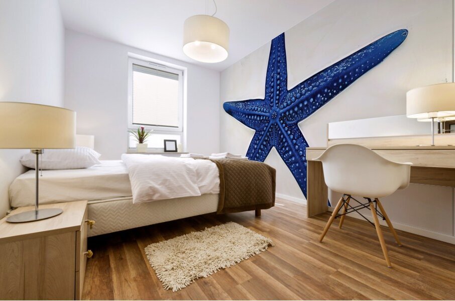 Azure Star 7H29NP 45 Mural print