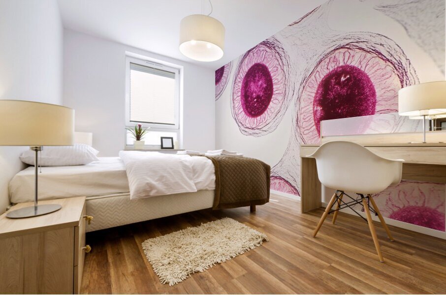 Cellular Harmony 249CPZ 47 Mural print