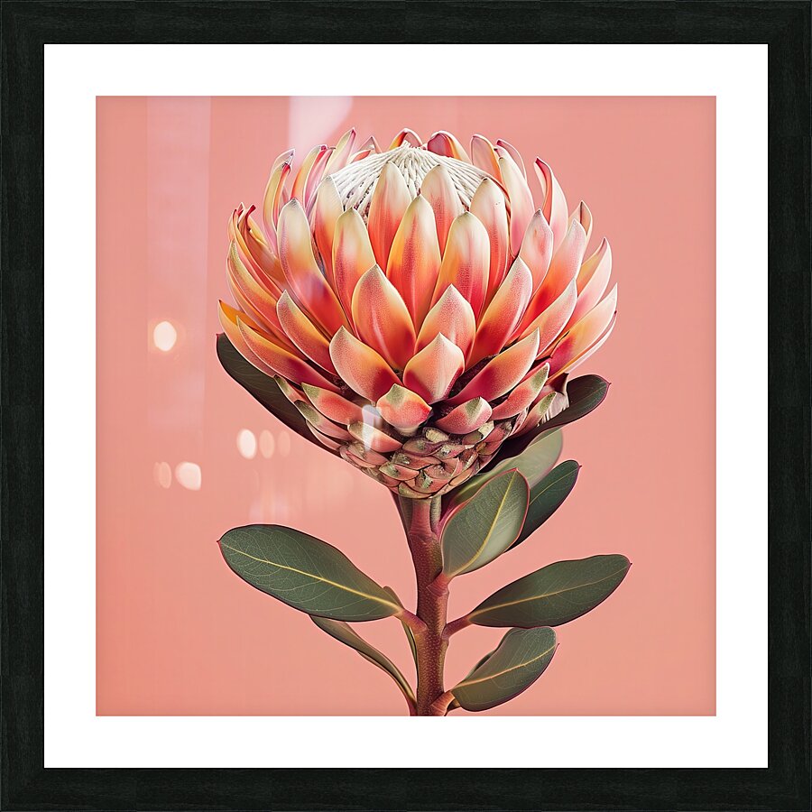 Blossom Radiance Picture Frame print