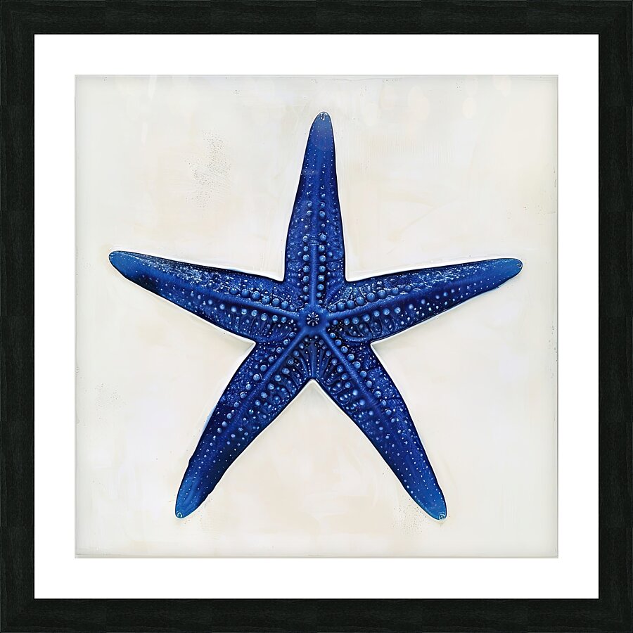 Azure Star 7H29NP 45 Picture Frame print