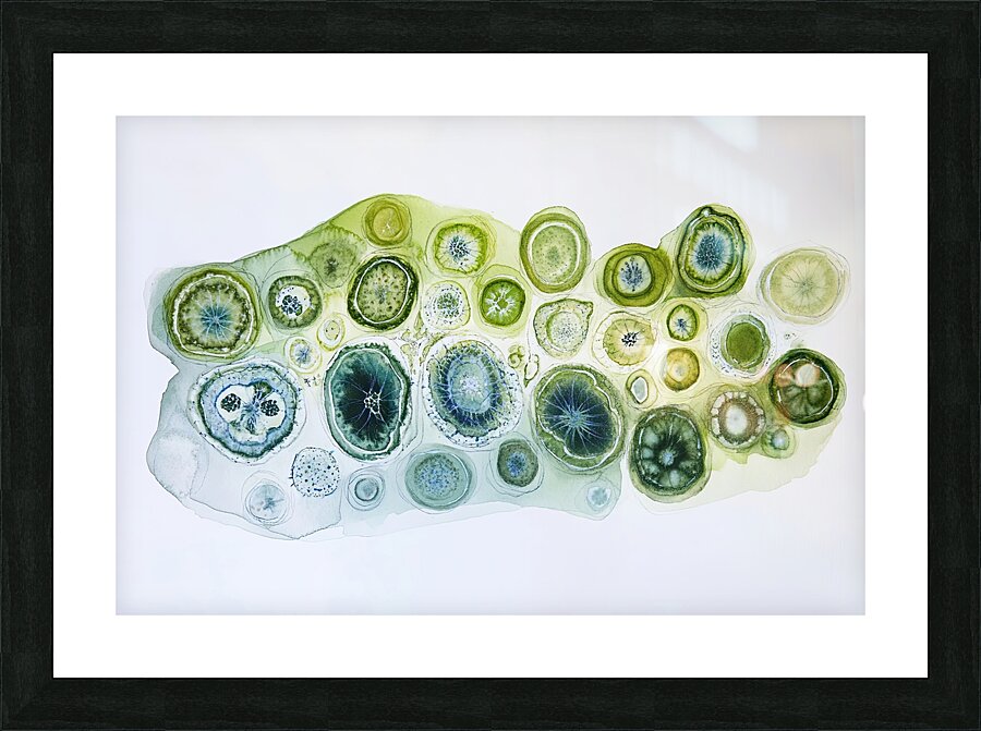 Cellular Echoes ZH92N5 47 Picture Frame print