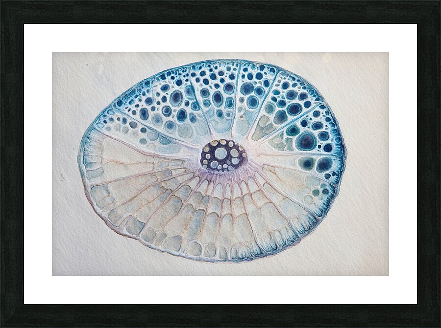 Cellular Echoes H9P4N2 50 Picture Frame print