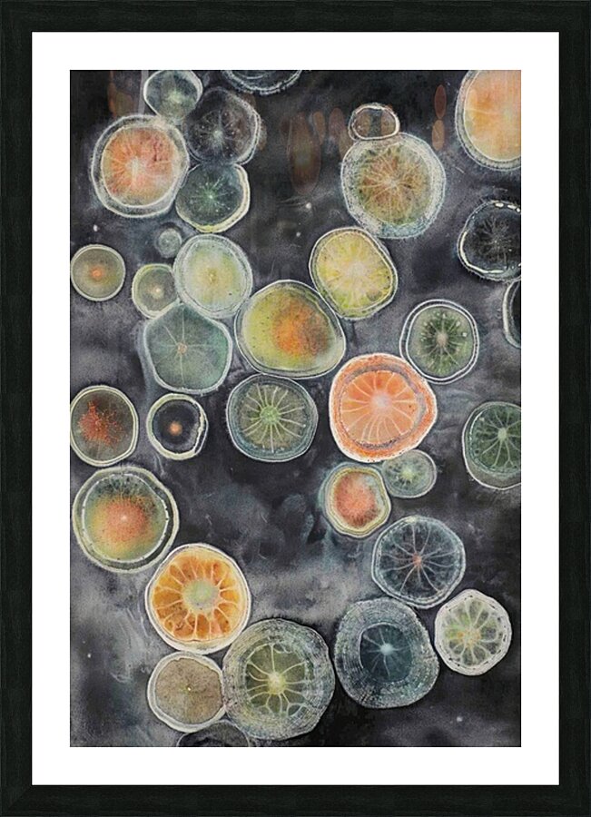 Cellular Echoes KH295B 55 Picture Frame print