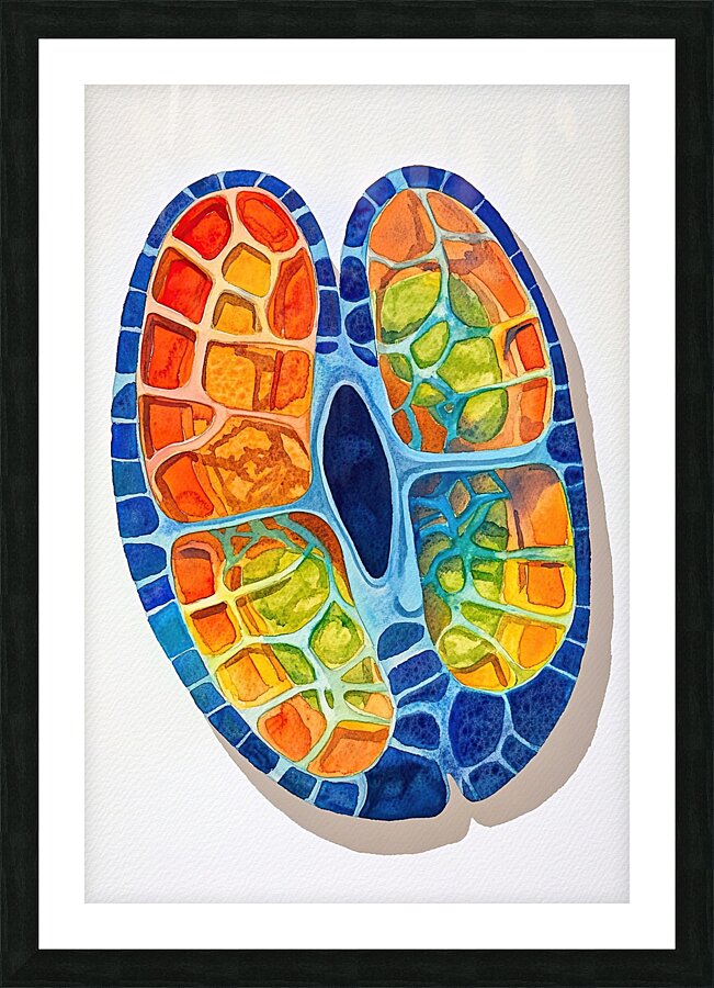 Cellular Harmony AB92C3 55 Picture Frame print