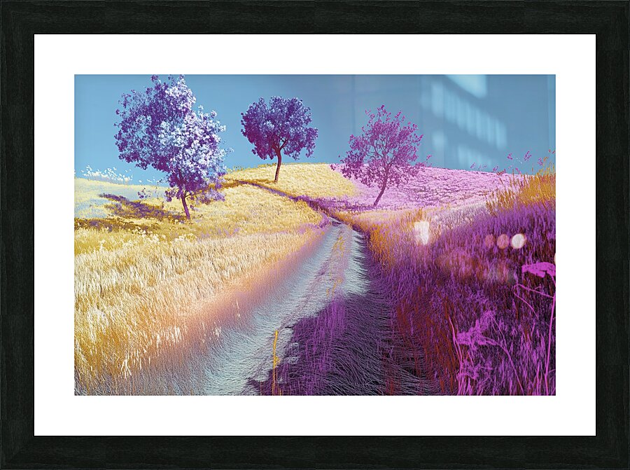 Chromatic Pathways 2H9N3Z 62 Picture Frame print