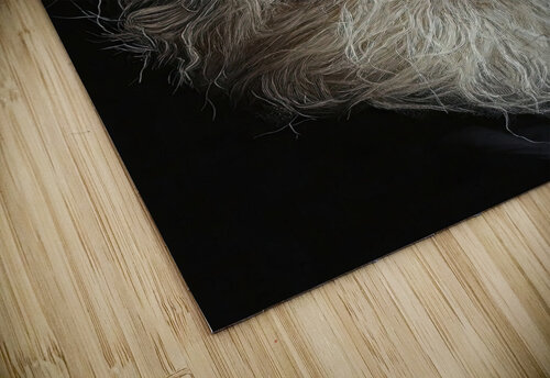 Aged Wisdom Portrait H2N9P2 65 Abstract Rebellion puzzle