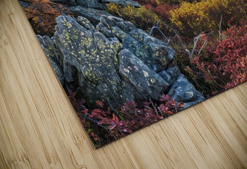 Autumn Vista Overlook H29N5Z 67 Abstract Rebellion puzzle