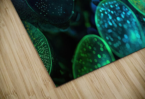 Bioluminescent Forms 7P3H9N 55   Copy Abstract Rebellion puzzle