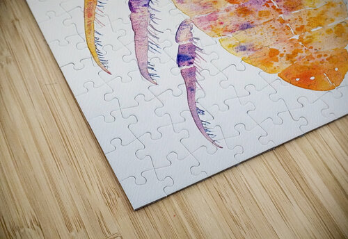 Chromatic Crustacean JH92N3 45 Abstract Rebellion puzzle